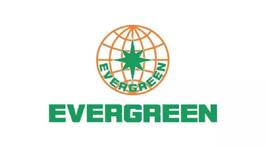 logo-doi-tac-TDC-logistics (11)